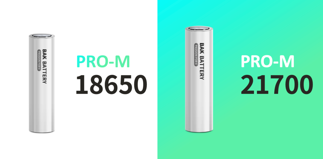 bak pro-m 18650 battery and bak pro-m 21700 battery
