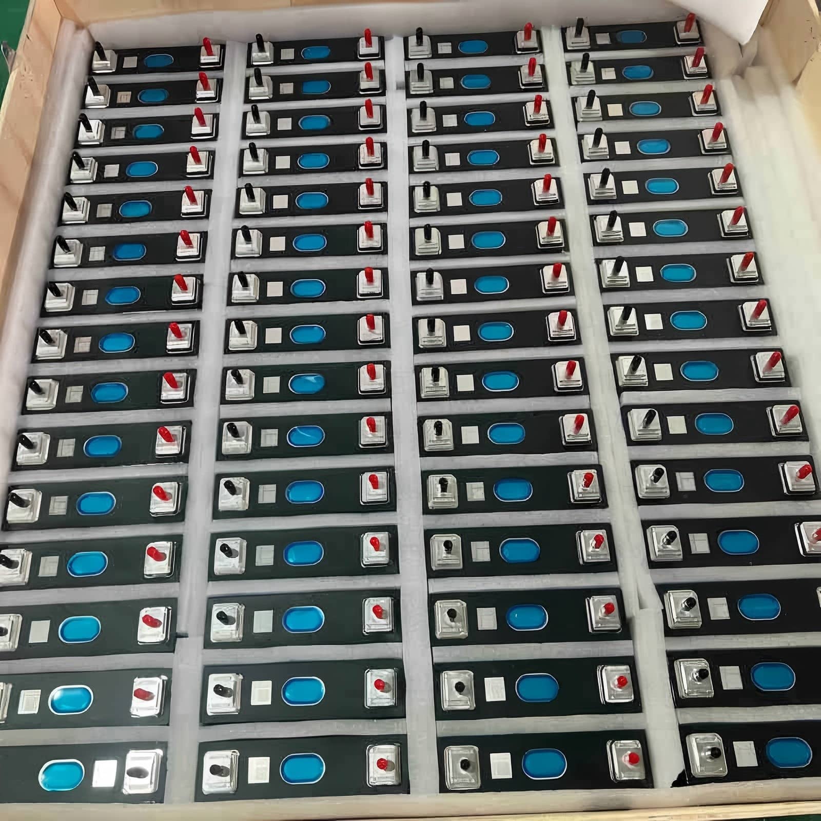 REPT 50Ah LiFePO4 Battery