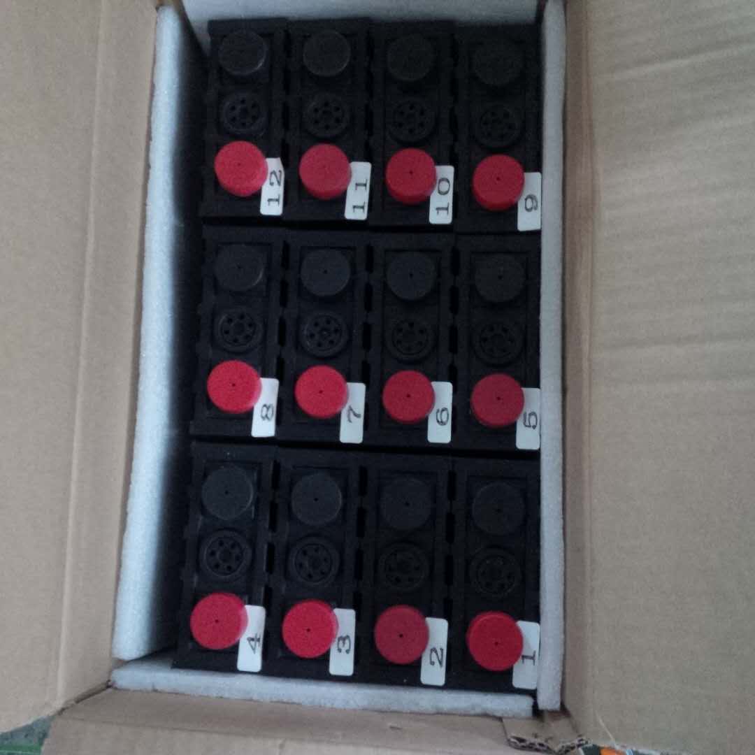 Sinopoly 40Ah LiFePO4 Battery