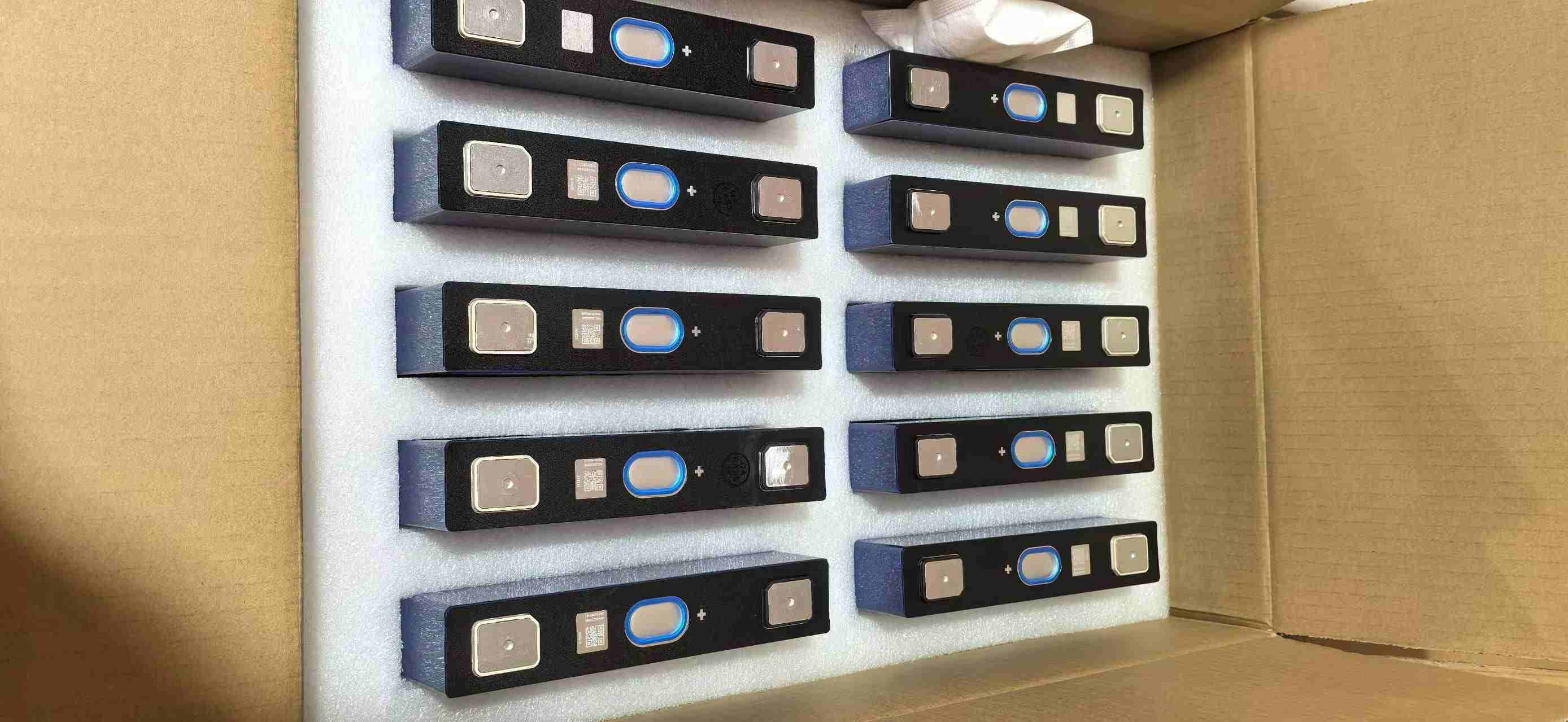 REPT Battery 3.2V 65Ah LiFePO4 Cell